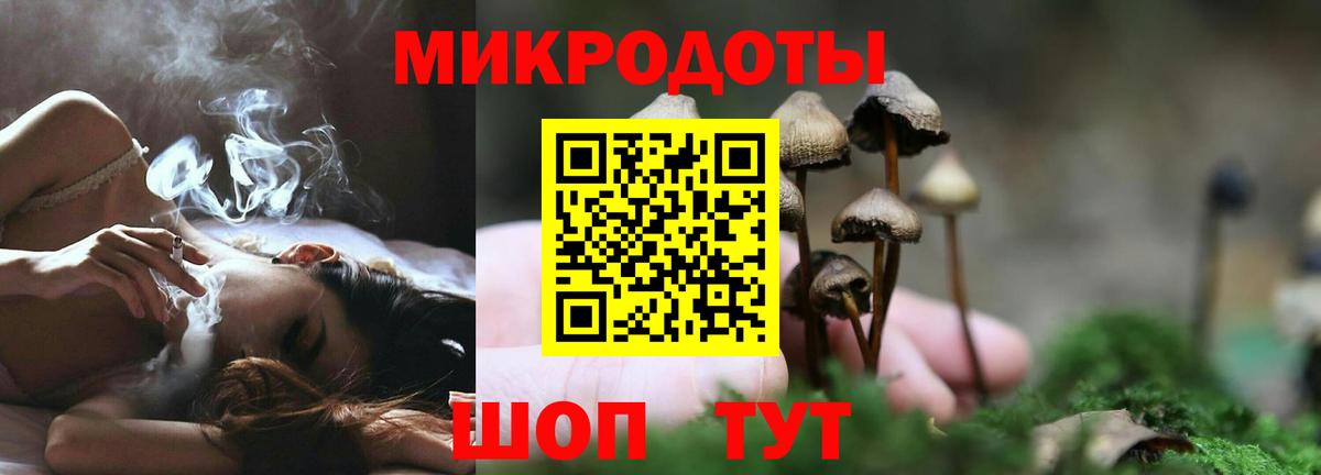 Королёв  Псилоцибиновые грибы Psilocybine cubensis  Вход с VPN 